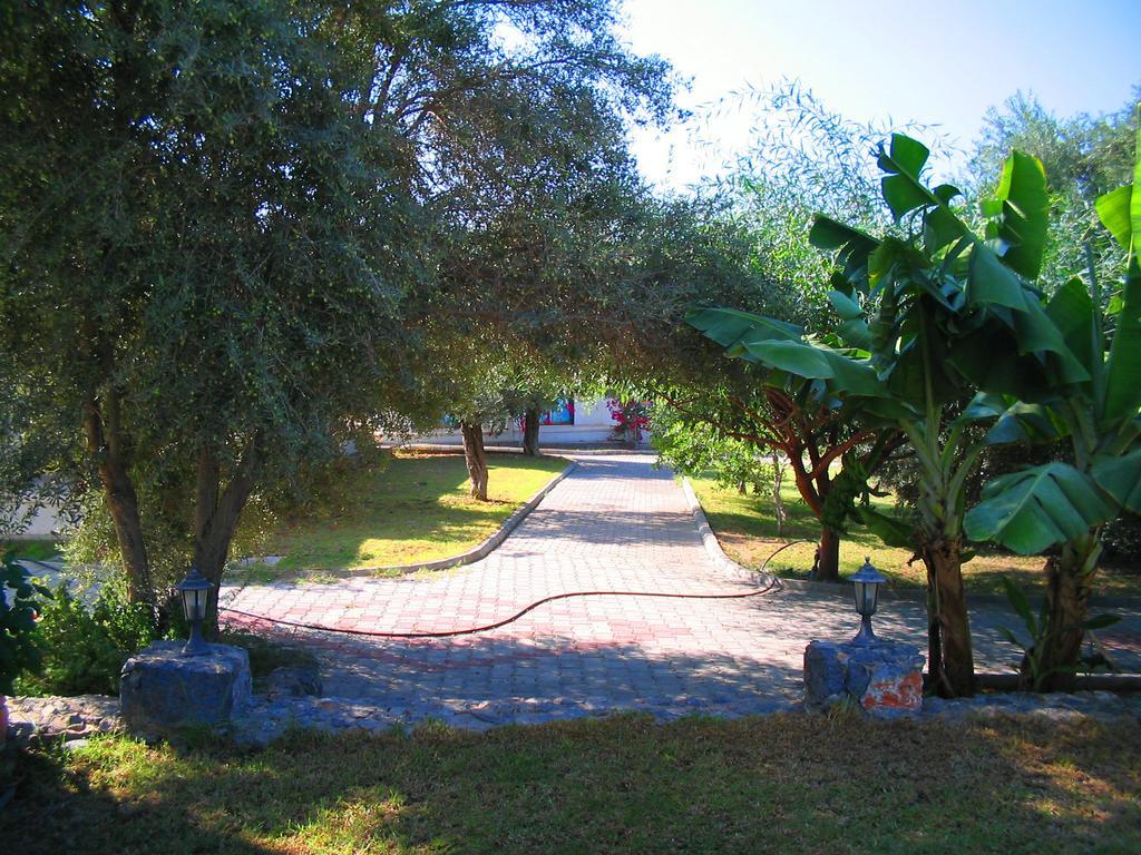 Bare Hill Holiday Village Elea Εξωτερικό φωτογραφία