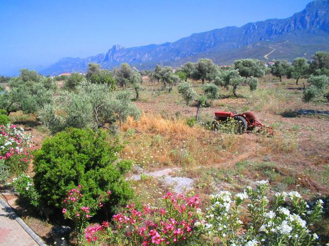 Bare Hill Holiday Village Elea Εξωτερικό φωτογραφία